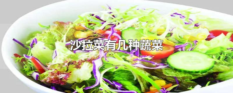 沙拉菜有几种蔬菜