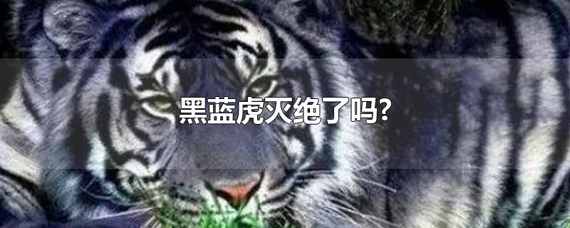 黑蓝虎灭绝了吗?-最新黑蓝虎灭绝了吗?整理解答