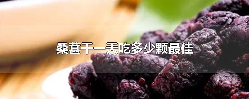 桑葚干一天吃多少颗最佳-最新桑葚干一天吃多少颗最佳整理解答