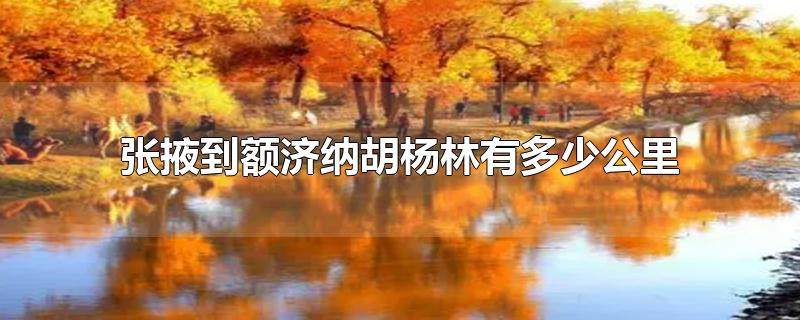 张掖到额济纳胡杨林有多少公里-最新张掖到额济纳胡杨林有多少公里整理解答