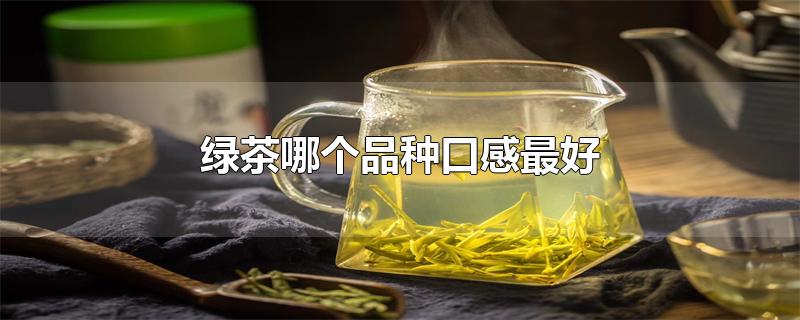 绿茶哪个品种口感最好