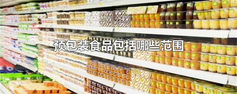 预包装食品包括哪些范围