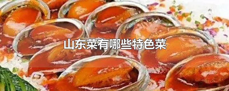 山东菜有哪些特色菜