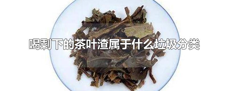 喝剩下的茶叶渣属于什么垃圾分类-最新喝剩下的茶叶渣属于什么垃圾分类整理解答