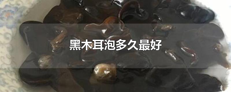 黑木耳泡多久最好