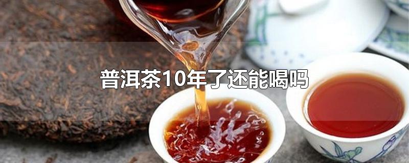 普洱茶10年了还能喝吗-最新普洱茶10年了还能喝吗整理解答