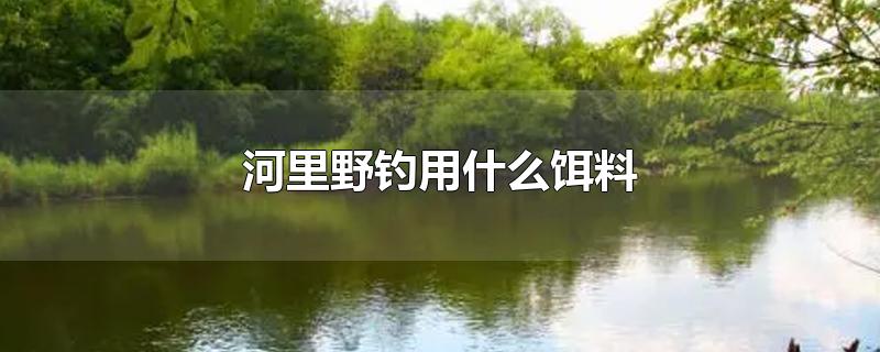 河里野钓用什么饵料-最新河里野钓用什么饵料整理解答