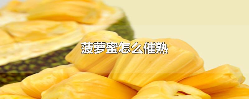 菠萝蜜怎么催熟-最新菠萝蜜怎么催熟整理解答