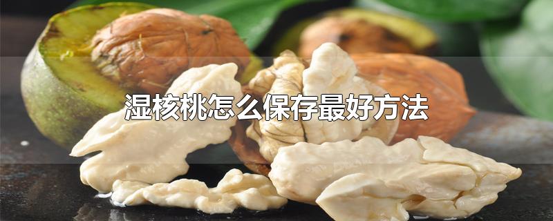 湿核桃怎么保存最好方法-最新湿核桃怎么保存最好方法整理解答