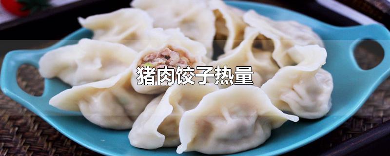 猪肉饺子热量-最新猪肉饺子热量整理解答