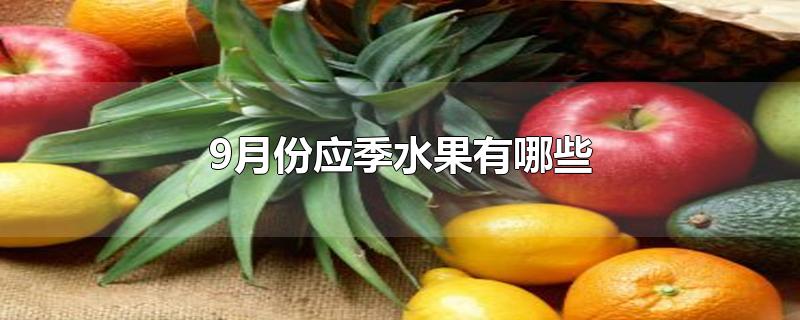 9月份应季水果有哪些-最新9月份应季水果有哪些整理解答