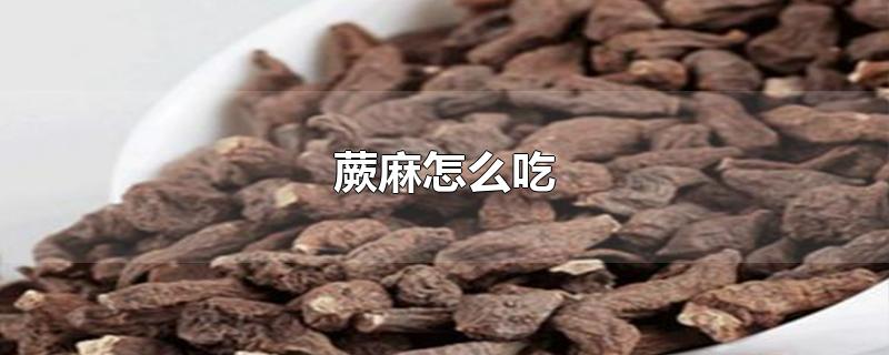 蕨麻怎么吃-最新蕨麻怎么吃整理解答