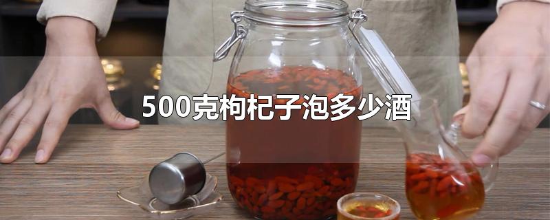 500克枸杞子泡多少酒-最新500克枸杞子泡多少酒整理解答