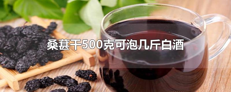 桑葚干500克可泡几斤白酒-最新桑葚干500克可泡几斤白酒整理解答