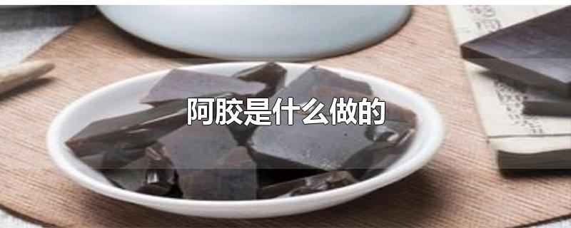 阿胶是什么做的-最新阿胶是什么做的整理解答