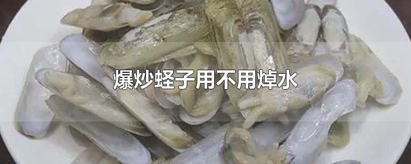 爆炒蛏子用不用焯水-最新爆炒蛏子用不用焯水整理解答