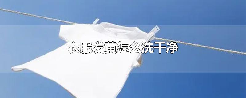 衣服发黄怎么洗干净-最新衣服发黄怎么洗干净整理解答