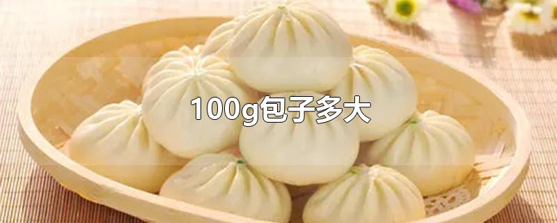 100g包子多大-最新100g包子多大整理解答