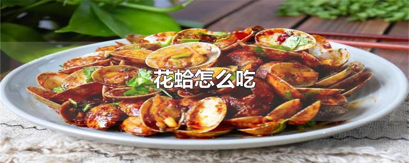 花蛤怎么吃