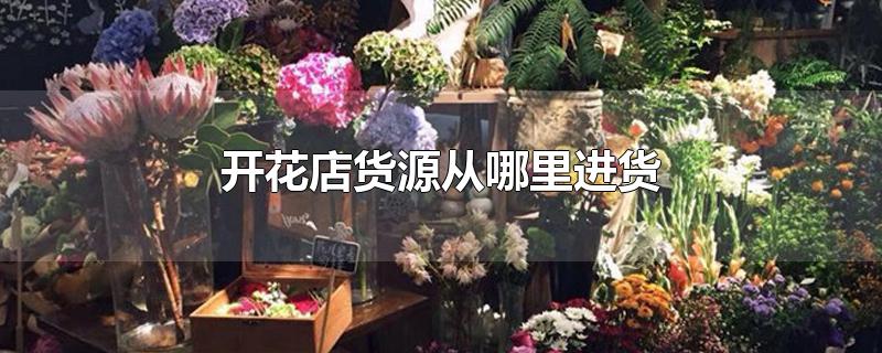 开花店货源从哪里进货