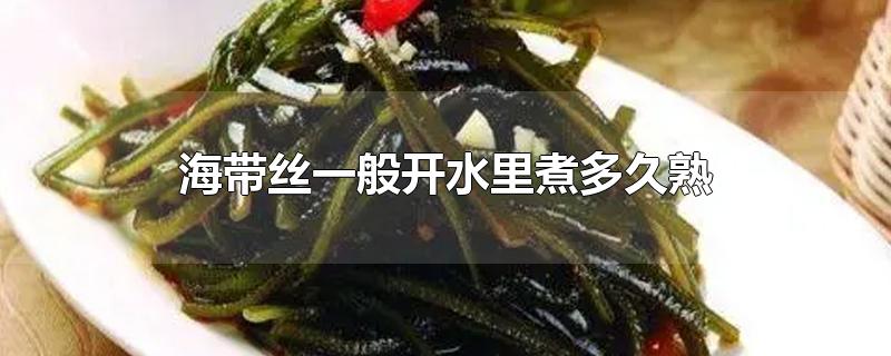 海带丝一般开水里煮多久熟