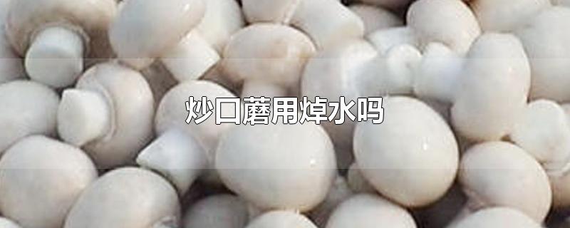 炒口蘑用焯水吗-最新炒口蘑用焯水吗整理解答