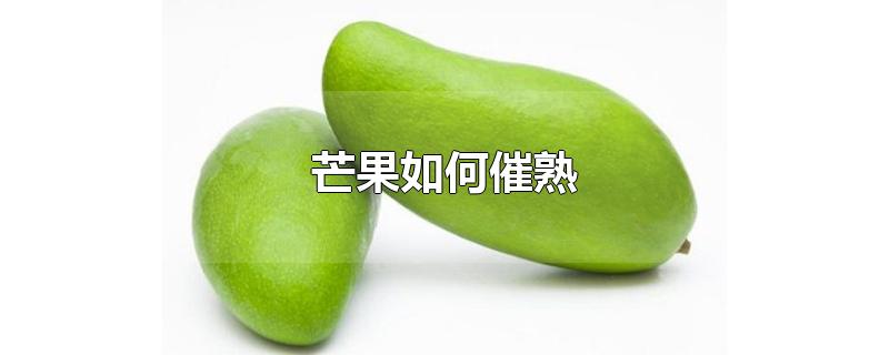 芒果如何催熟-最新芒果如何催熟整理解答