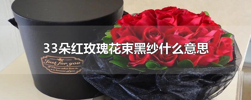 33朵红玫瑰花束黑纱什么意思-最新33朵红玫瑰花束黑纱什么意思整理解答