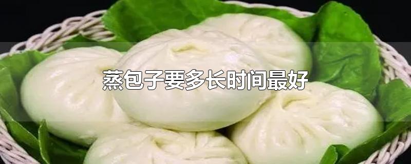 蒸包子要多长时间最好