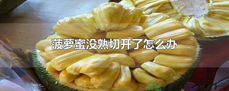 菠萝蜜没熟切开了怎么办