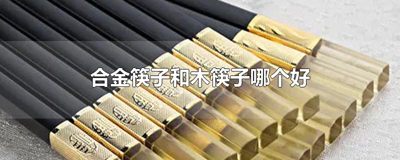 合金筷子和木筷子哪个好