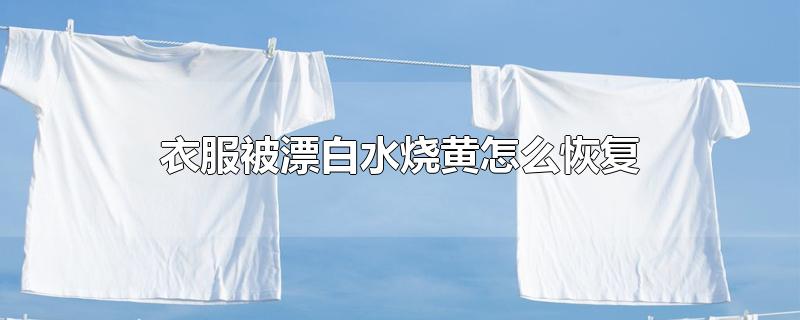 衣服被漂白水烧黄怎么恢复-最新衣服被漂白水烧黄怎么恢复整理解答