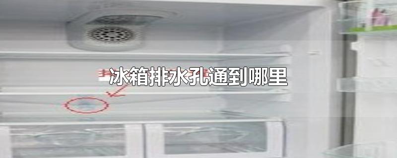 冰箱排水孔通到哪里