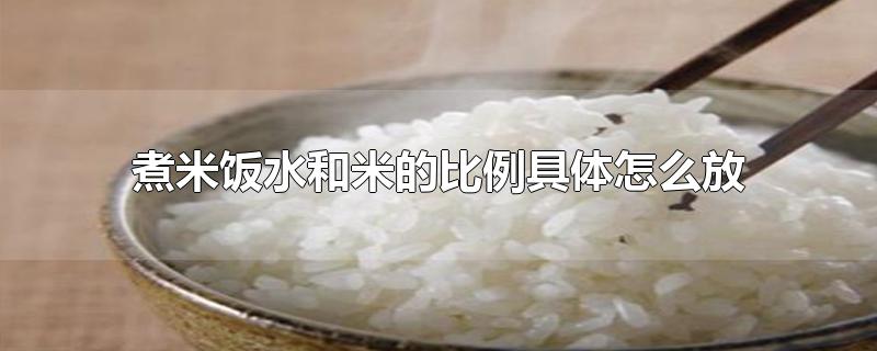 煮米饭水和米的比例具体怎么放