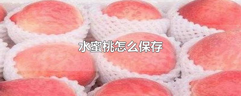 水蜜桃怎么保存-最新水蜜桃怎么保存整理解答