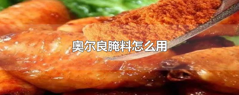 奥尔良腌料怎么用