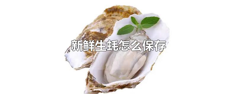 新鲜生蚝怎么保存