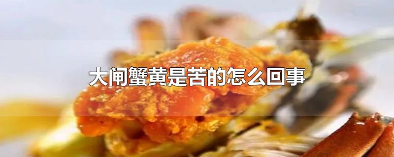 大闸蟹黄是苦的怎么回事-最新大闸蟹黄是苦的怎么回事整理解答