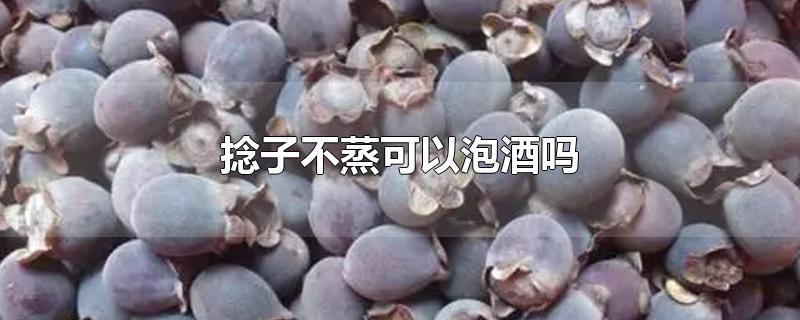 捻子不蒸可以泡酒吗-最新捻子不蒸可以泡酒吗整理解答