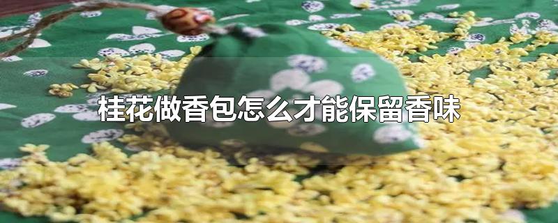 桂花做香包怎么才能保留香味-最新桂花做香包怎么才能保留香味整理解答