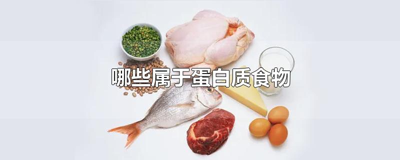 哪些属于蛋白质食物