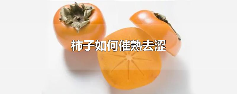 柿子如何催熟去涩