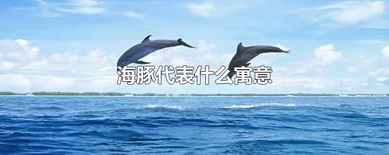 海豚代表什么寓意-最新海豚代表什么寓意整理解答