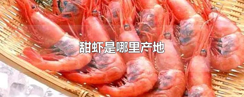 甜虾是哪里产地