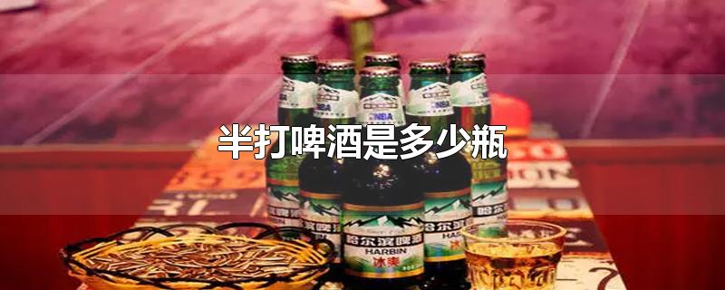 半打啤酒是多少瓶-最新半打啤酒是多少瓶整理解答