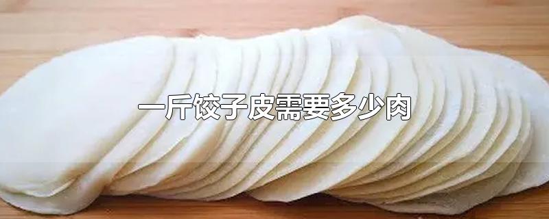 一斤饺子皮需要多少肉-最新一斤饺子皮需要多少肉整理解答