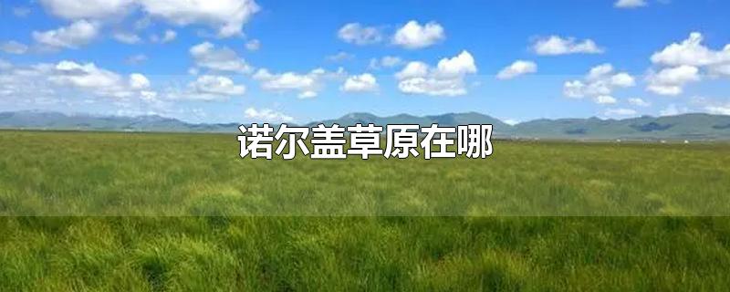 诺尔盖草原在哪-最新诺尔盖草原在哪整理解答