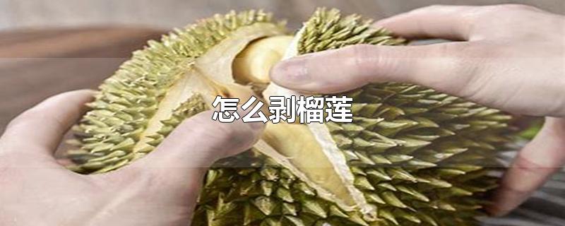 怎么剥榴莲