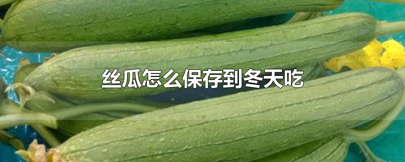 丝瓜怎么保存到冬天吃-最新丝瓜怎么保存到冬天吃整理解答