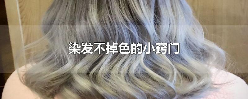 染发不掉色的小窍门-最新染发不掉色的小窍门整理解答